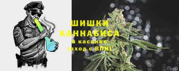 прущие грибы Инта