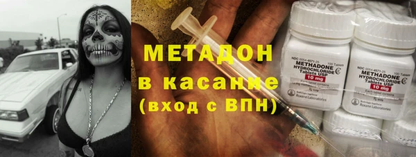прущие грибы Инта