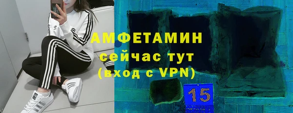 мяу мяу мука Иннополис