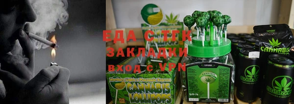прущие грибы Инта