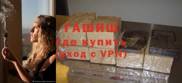прущие грибы Инта