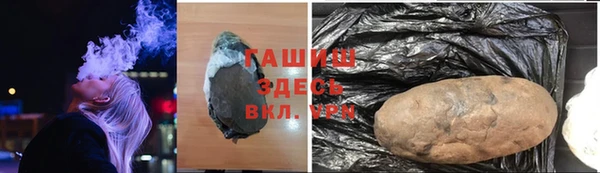прущие грибы Инта