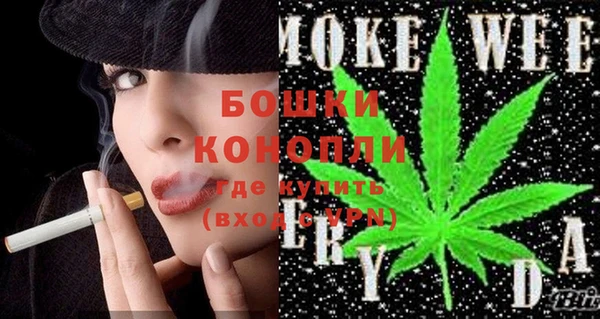 мяу мяу мука Иннополис