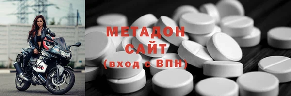 прущие грибы Инта