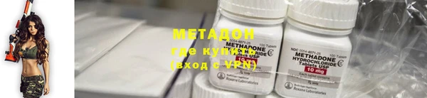прущие грибы Инта