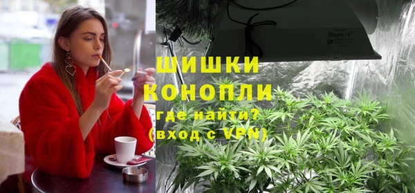 мяу мяу мука Иннополис