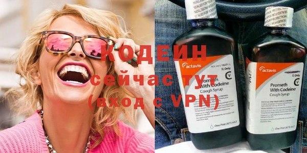 прущие грибы Инта