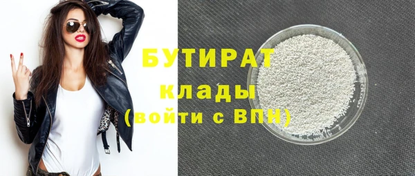 прущие грибы Инта