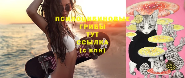 прущие грибы Инта