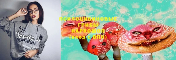 прущие грибы Инта