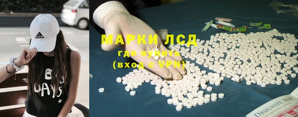 прущие грибы Инта