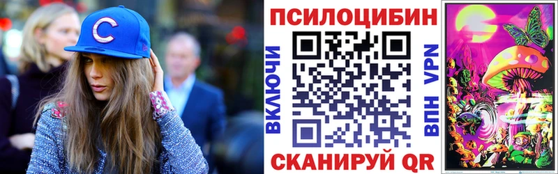 Псилоцибиновые грибы мицелий  дарнет шоп  Оренбург 