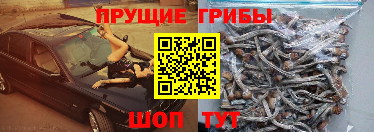 Галлюциногенные грибы MAGIC MUSHROOMS Оренбург